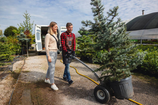 Professional Tree Services in Buena, NJ